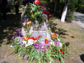 phpIBHo4O__DSC3258