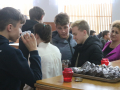 IMG_4566
