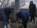 improvement_of_monuments_2