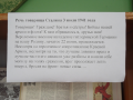 image (5)