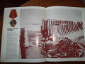 SAM_3832