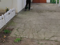 IMG-38b42559da9ced5423f70d888adc31ee-V