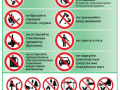 Pravila-povedenija-v-lesu