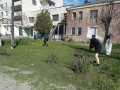 image (5)